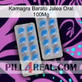 Cheap Kamagra Oral Jelly 100Mg 23